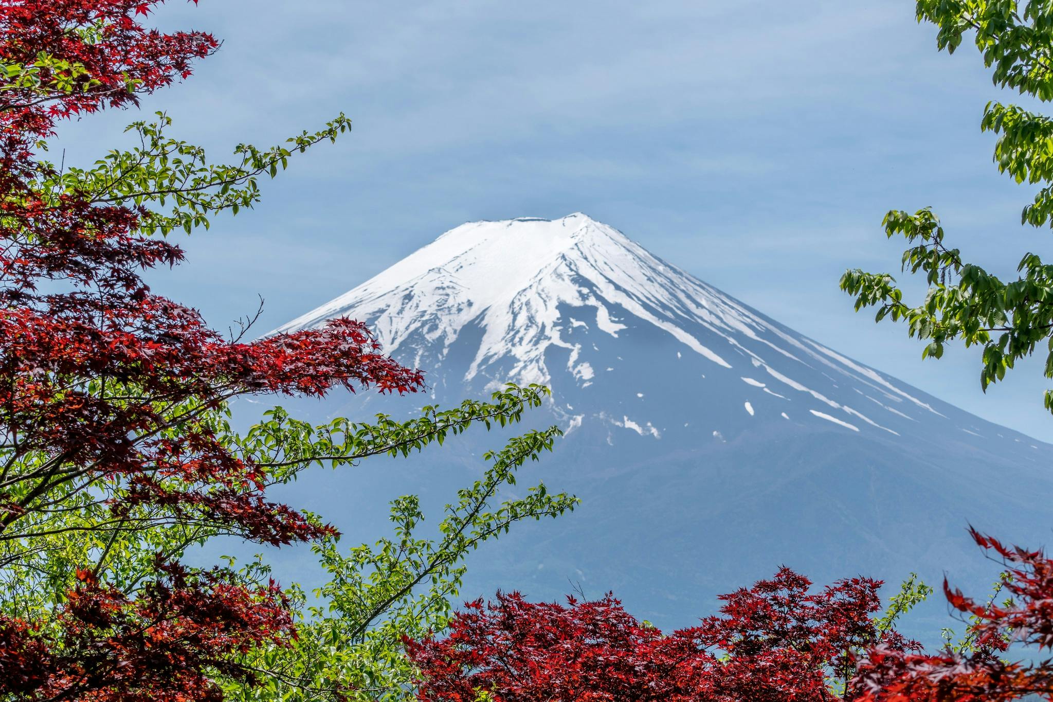 Image of Mt Fuji Japan